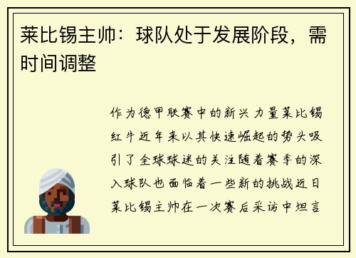 莱比锡主帅：球队处于发展阶段，需时间调整