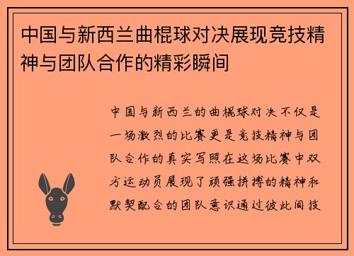 中国与新西兰曲棍球对决展现竞技精神与团队合作的精彩瞬间