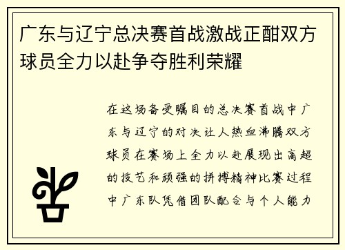 广东与辽宁总决赛首战激战正酣双方球员全力以赴争夺胜利荣耀